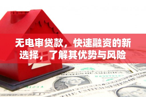 大竹无电审贷款，快速融资的新选择，了解其优势与风险