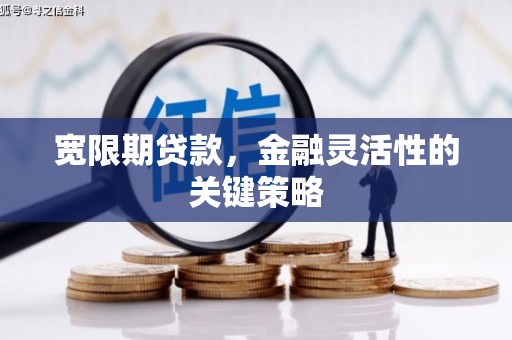 大竹宽限期贷款，金融灵活性的关键策略