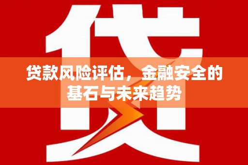 大竹贷款风险评估，金融安全的基石与未来趋势