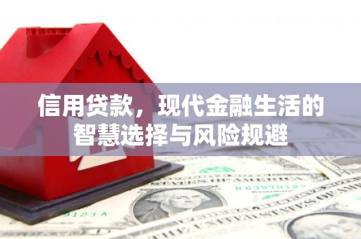 大竹信用贷款，现代金融生活的智慧选择与风险规避
