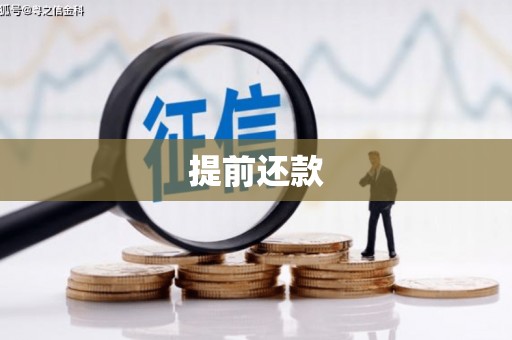 大竹提前还款