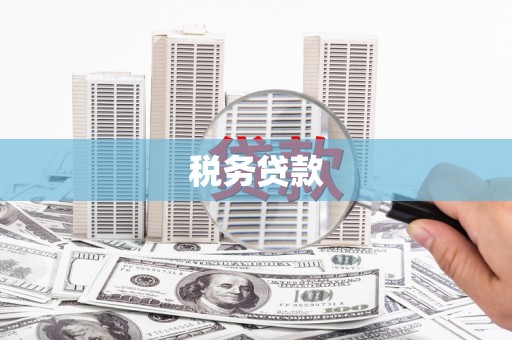大竹税务贷款