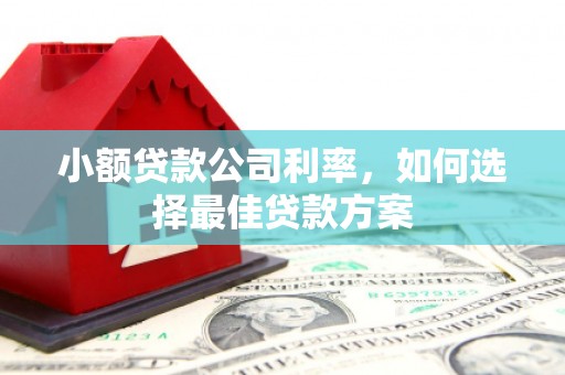 大竹小额贷款公司利率，如何选择最佳贷款方案