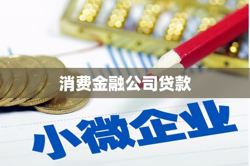 大竹消费金融公司贷款