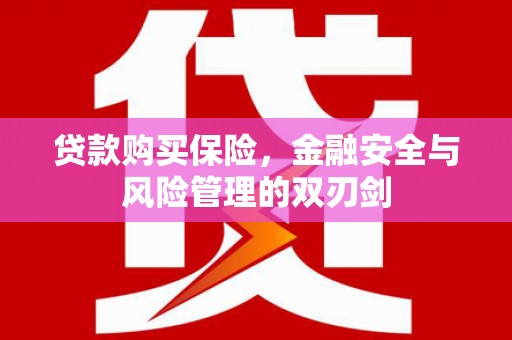 大竹贷款购买保险，金融安全与风险管理的双刃剑