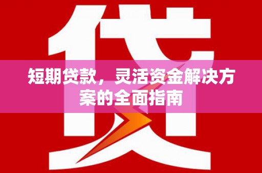 大竹短期贷款，灵活资金解决方案的全面指南