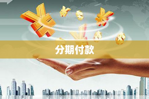 大竹分期付款