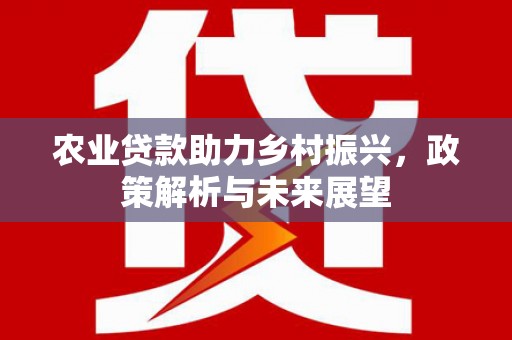 大竹农业贷款助力乡村振兴，政策解析与未来展望