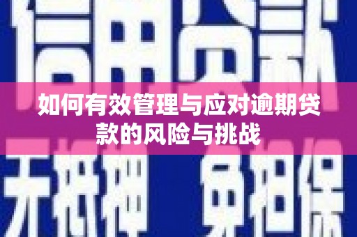 大竹如何有效管理与应对逾期贷款的风险与挑战