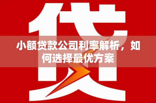 大竹小额贷款公司利率解析，如何选择最优方案