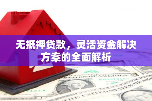 大竹无抵押贷款，灵活资金解决方案的全面解析