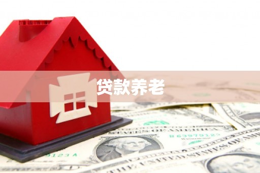 大竹贷款养老