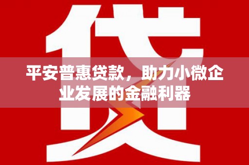大竹平安普惠贷款，助力小微企业发展的金融利器