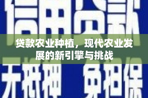 大竹贷款农业种植，现代农业发展的新引擎与挑战