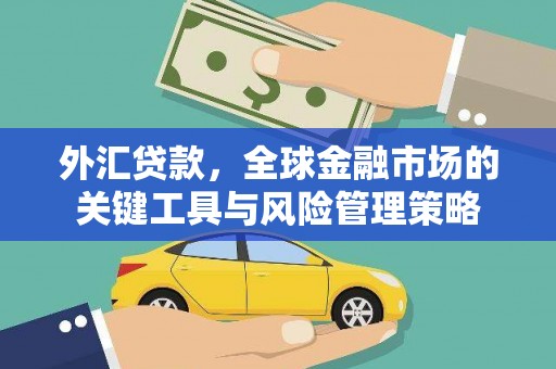 大竹外汇贷款，全球金融市场的关键工具与风险管理策略
