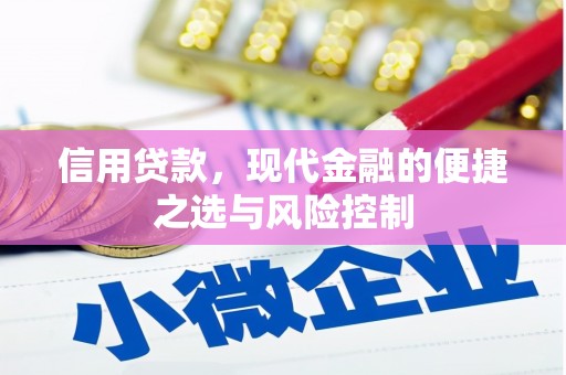大竹信用贷款，现代金融的便捷之选与风险控制