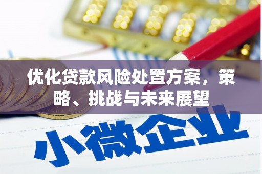 大竹优化贷款风险处置方案，策略、挑战与未来展望