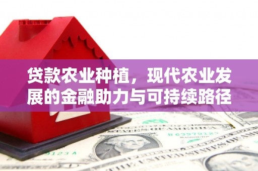 大竹贷款农业种植，现代农业发展的金融助力与可持续路径