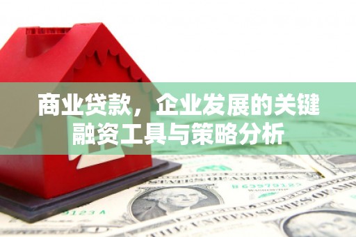 大竹商业贷款，企业发展的关键融资工具与策略分析