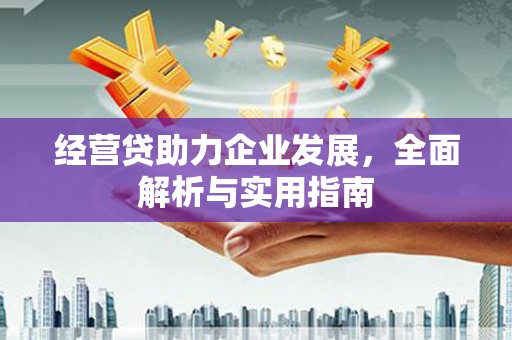 大竹经营贷助力企业发展，全面解析与实用指南