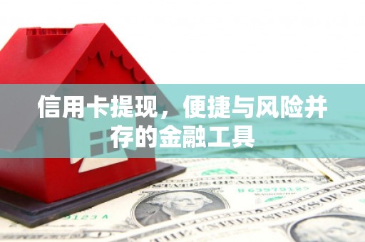 大竹信用卡提现，便捷与风险并存的金融工具