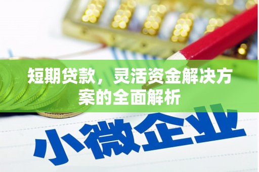 大竹短期贷款，灵活资金解决方案的全面解析