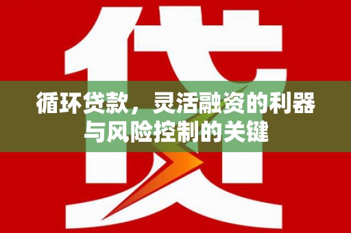 大竹循环贷款，灵活融资的利器与风险控制的关键