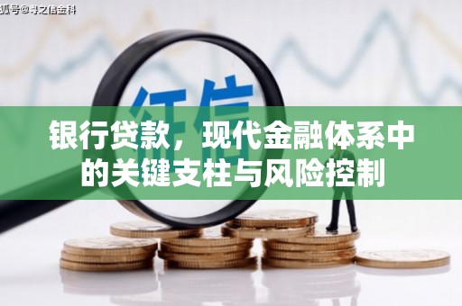 大竹银行贷款，现代金融体系中的关键支柱与风险控制
