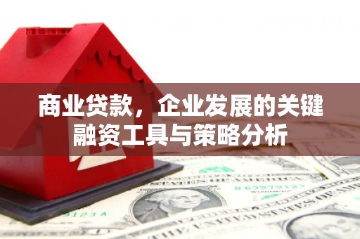 大竹商业贷款，企业发展的关键融资工具与策略分析