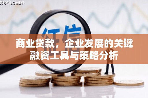 大竹商业贷款，企业发展的关键融资工具与策略分析