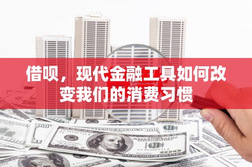 大竹借呗，现代金融工具如何改变我们的消费习惯