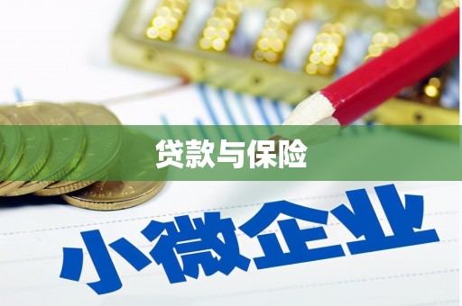 大竹贷款与保险
