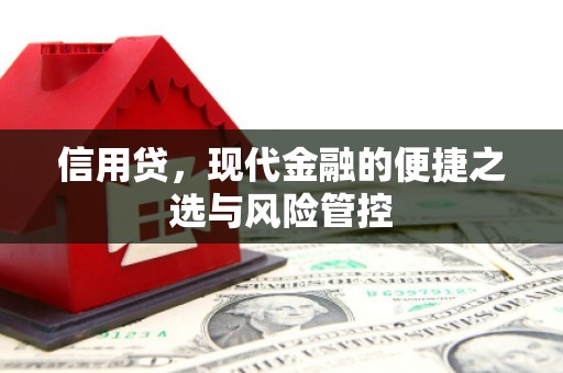 大竹信用贷，现代金融的便捷之选与风险管控