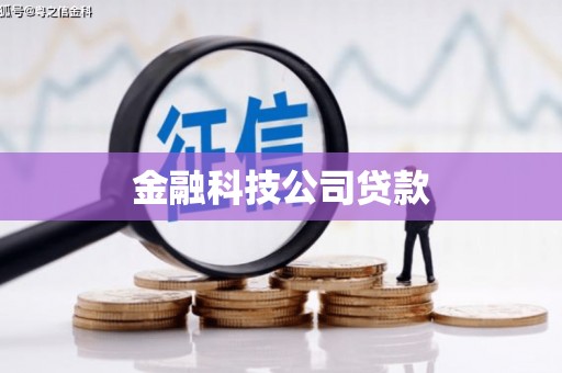 大竹金融科技公司贷款