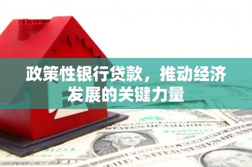 大竹政策性银行贷款，推动经济发展的关键力量