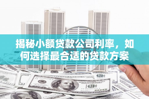 大竹揭秘小额贷款公司利率，如何选择最合适的贷款方案