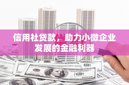 大竹信用社贷款，助力小微企业发展的金融利器