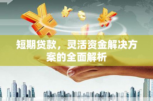 大竹短期贷款，灵活资金解决方案的全面解析