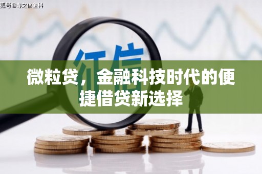 大竹微粒贷，金融科技时代的便捷借贷新选择