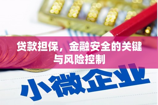 大竹贷款担保，金融安全的关键与风险控制