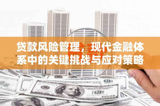 大竹贷款风险管理，现代金融体系中的关键挑战与应对策略