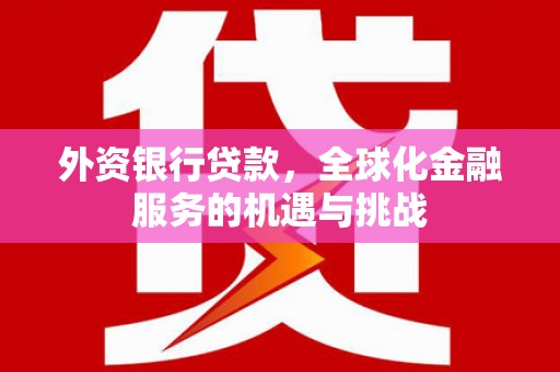 大竹外资银行贷款，全球化金融服务的机遇与挑战