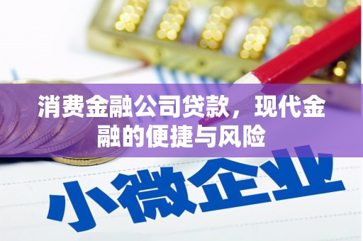 大竹消费金融公司贷款，现代金融的便捷与风险