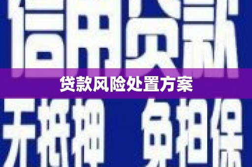 大竹贷款风险处置方案