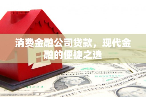 大竹消费金融公司贷款，现代金融的便捷之选