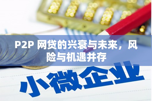 大竹P2P 网贷的兴衰与未来，风险与机遇并存
